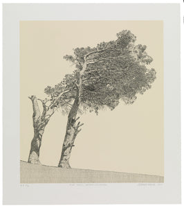 "Pine Trees, University Estate" (Anton Kannemeyer, 2017)