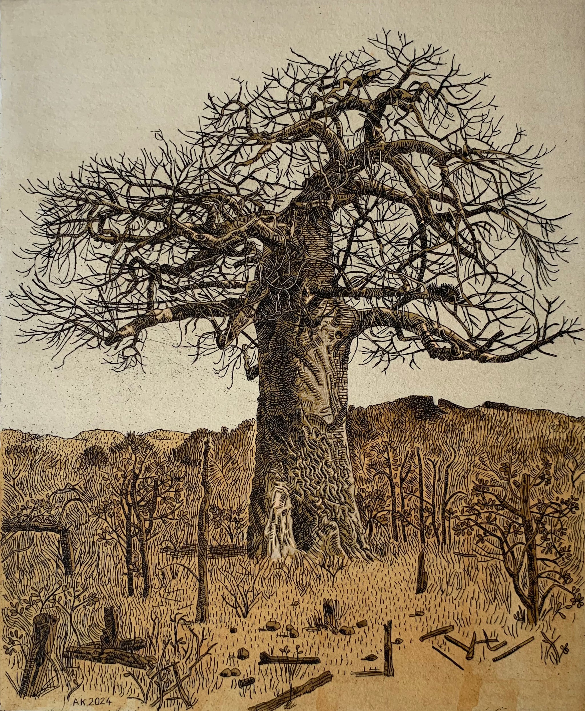 Anton Kannemeyer Fine Art Prints – Bitterkomix
