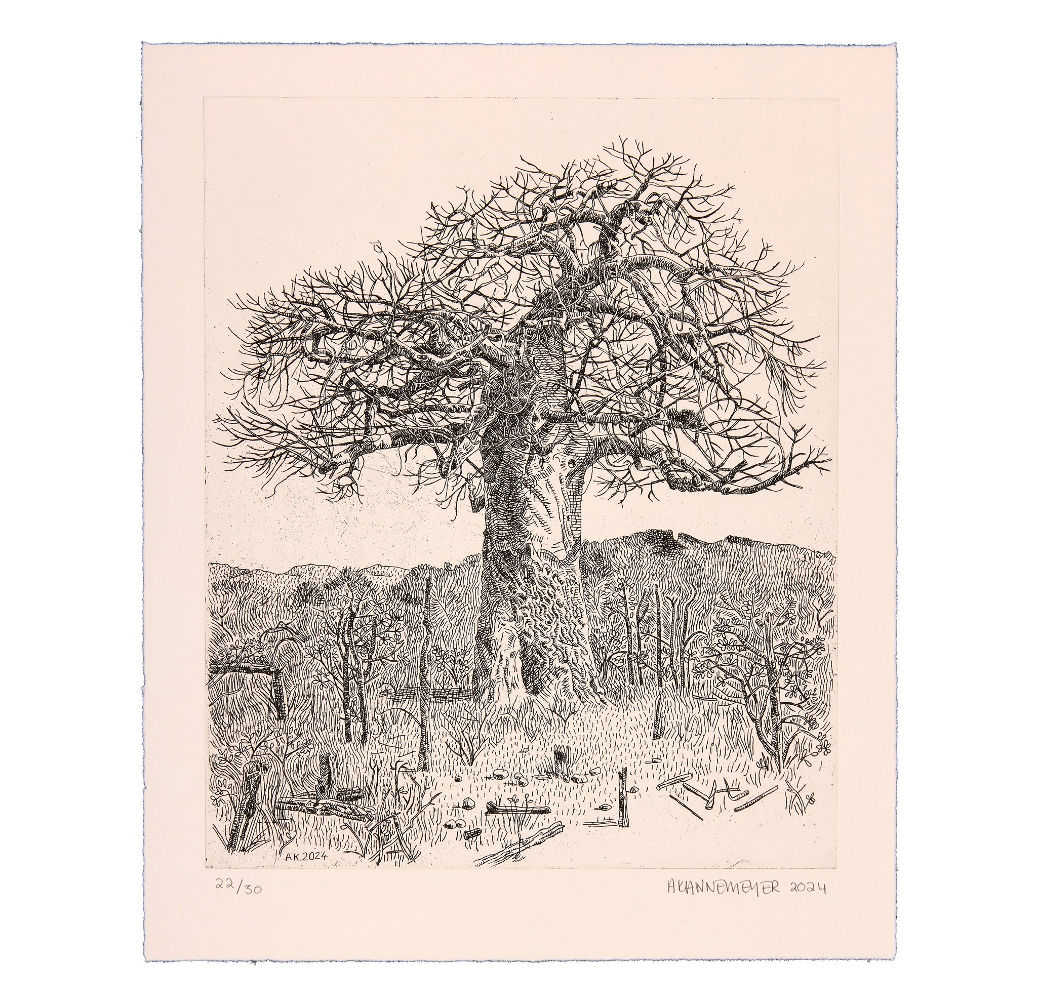 Anton Kannemeyer Fine Art Prints – Bitterkomix